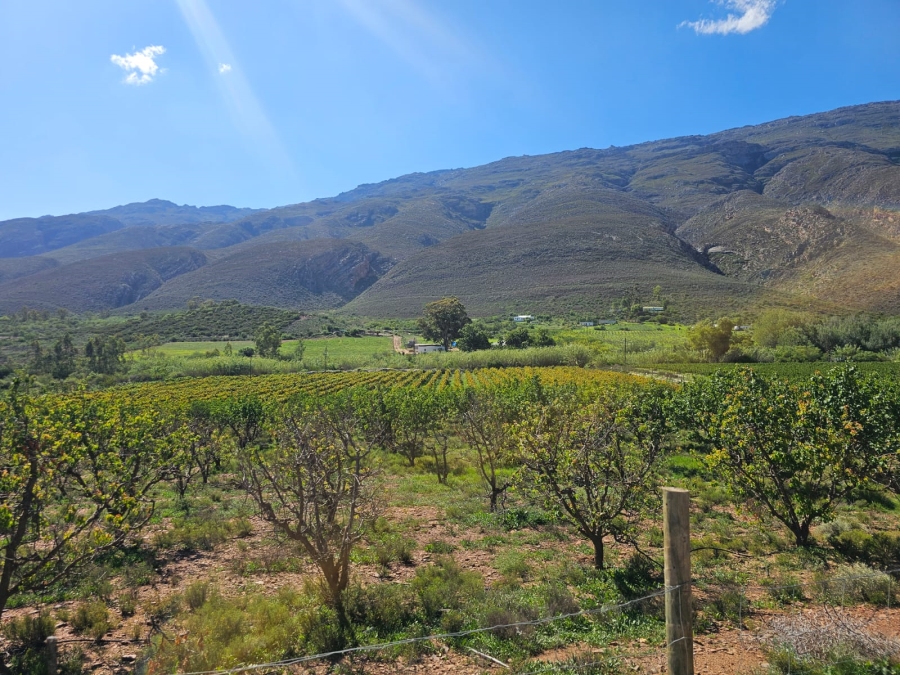 5 Bedroom Property for Sale in Ladismith Rural Western Cape